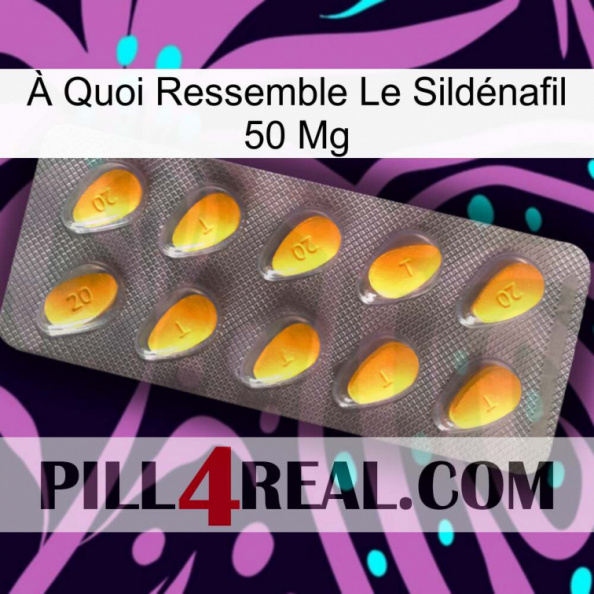 À Quoi Ressemble Le Sildénafil 50 Mg cialis1.jpg